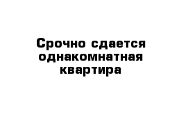 Срочно сдается однакомнатная квартира